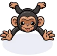 Untitleddesign5e1729812545696 primatepetcom